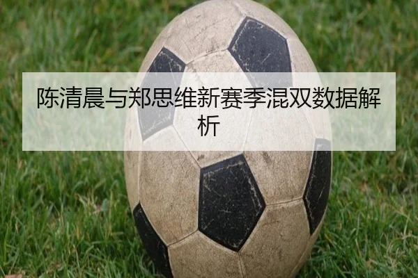 陈清晨与郑思维新赛季混双数据解析